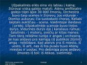 Senovės graikų teatras 10 puslapis