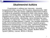 Skaitmeninė visuomenė ir skaitmeninė kultūra 6 puslapis