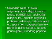 Skrandžio gleivinės sekrecinės funkcijos sutrikimas 3 puslapis