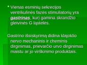 Skrandžio gleivinės sekrecinės funkcijos sutrikimas 4 puslapis