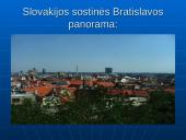 Viskas apie Slovakiją 12 puslapis