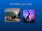 Viskas apie Slovakiją 16 puslapis