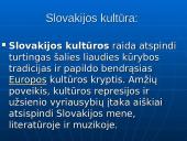Viskas apie Slovakiją 10 puslapis