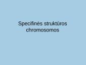 Specifinės struktūros chromosomos