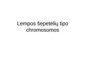 Specifinės struktūros chromosomos 11 puslapis