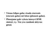 Specifinės struktūros chromosomos 16 puslapis