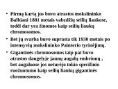 Specifinės struktūros chromosomos 5 puslapis