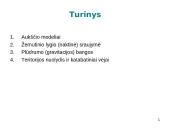 Stabilus paribio sluoksnis (SPS) 2 puslapis