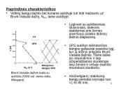 Stabilus paribio sluoksnis (SPS) 15 puslapis