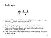 Stabilus paribio sluoksnis (SPS) 4 puslapis