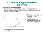 Stabilus paribio sluoksnis (SPS) 5 puslapis