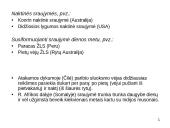 Stabilus paribio sluoksnis (SPS) 7 puslapis