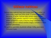 Microsoft Word stiliai 9 puslapis