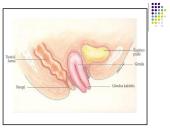 Su sunkiu fiziniu darbu susijusios ligos 9 puslapis
