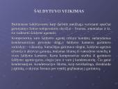 Sudužusios svajonės apie amžinąjį variklį 12 puslapis