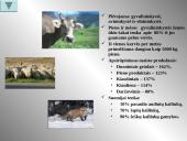 Suomijos Respublika 20 puslapis