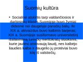 Suomija tarpukario metais 4 puslapis