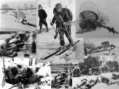 Suomija tarpukario metais 8 puslapis