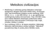 Šiaurės Amerikos žemynas 19 puslapis