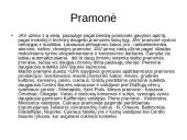 Šiaurės Amerikos žemynas 8 puslapis