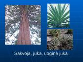 Šiaurės Amerikos žemyno fauna, flora ir bioištekliai 12 puslapis