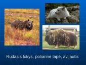 Šiaurės Amerikos žemyno fauna, flora ir bioištekliai 15 puslapis