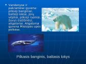 Šiaurės Amerikos žemyno fauna, flora ir bioištekliai 16 puslapis