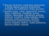 Šiaurės Amerikos žemyno fauna, flora ir bioištekliai 18 puslapis