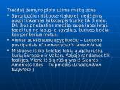 Šiaurės Amerikos žemyno fauna, flora ir bioištekliai 5 puslapis