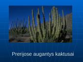 Šiaurės Amerikos žemyno fauna, flora ir bioištekliai 8 puslapis