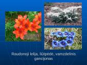 Šiaurės Amerikos žemyno fauna, flora ir bioištekliai 10 puslapis