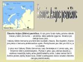 Šiaurės Azija 5 puslapis