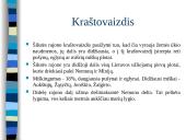 Šilutės rajono kompleksinė geografinė analizė 16 puslapis