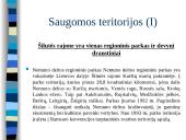 Šilutės rajono kompleksinė geografinė analizė 17 puslapis