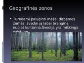 Švedijos aprašymas 6 puslapis