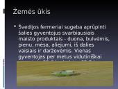 Švedijos aprašymas 7 puslapis