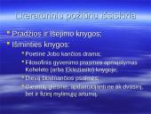Šventojo Rašto struktūra 4 puslapis
