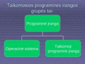 Taikomoji programinė įranga 4 puslapis