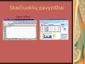 Taikomosios kompiuterinės programos 11 puslapis