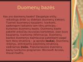 Taikomosios kompiuterinės programos 12 puslapis