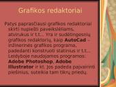 Taikomosios kompiuterinės programos 13 puslapis