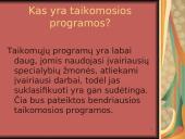 Taikomosios kompiuterinės programos 4 puslapis
