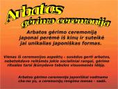 Tekančios saulės šalis. Japonija 17 puslapis