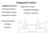 Telefoninio perdavimo pagrindai 2 puslapis