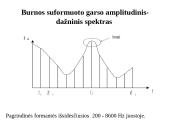 Telefoninio perdavimo pagrindai 7 puslapis