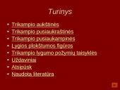 Trikampiai 2 puslapis