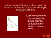 Trikampiai 4 puslapis