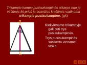 Trikampiai 5 puslapis