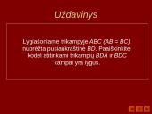 Trikampiai 9 puslapis