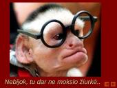 Trikampiai 10 puslapis